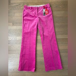 ❤️Express Hot pint velvet Editor pants